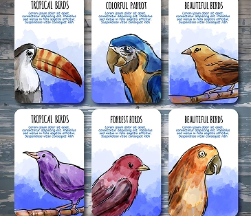 Kleurrijke kaarten met afbeeldingen van vogels, uitgevoerd in verschillende stijlen.